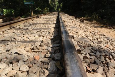 Lawachora Ormanı 'ndan geçen tren yolu.