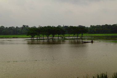 Bangladeş Sylhet 'te Doğal Görünüm