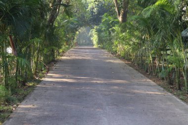 Parkta düz bir yol.