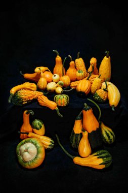 Canlı Sonbahar Hasadı: Siyah Kumaş Üzerine Süslü Su Kabaklarının Süslenmesi