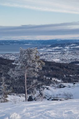 Sakin karlı İskandinav ormanı donmuş dağ ufkuna uzanıyor