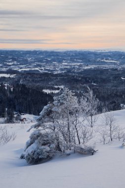Sakin karlı İskandinav ormanı donmuş dağ ufkuna uzanıyor