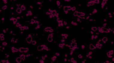 Diskleri olan koyu pembe vektör dokusu. Renkli çember şekilli modern soyut illüstrasyon. Posterler, afişler, duvar kağıtları için tasarım.