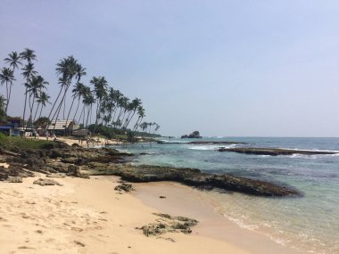 Palmiye ağaçları ve mavi gökyüzü olan güzel tropikal plaj