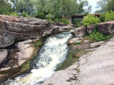 Ormanda güzel bir şelale