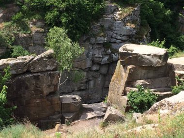 Doğada güzel bir şelale