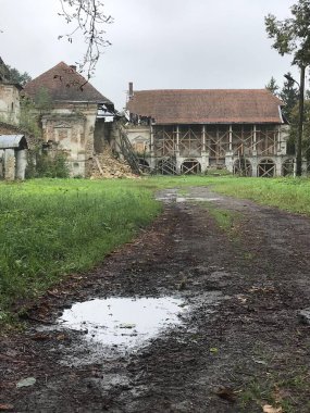 Ormandaki eski ahşap ev