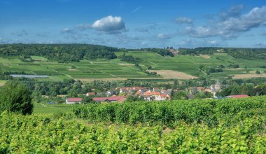 Grosswinternheim 'ın Şarap Köyü Ingelheim, Rheinhessen şarapçılık bölgesi, Almanya