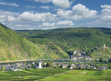 Ön planda Ellenz-Poltersdorf 'un Şarap Köyleri ve Arka planda Beilstein, Mosel Nehri, Mosel Vadisi, Almanya