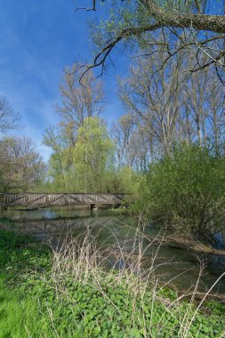 Urdenbacher Altrhein, Urdenbacher Kaempe Doğa Koruma Alanı Rhine Nehri Tufan Ovası, Duesseldorf, Almanya