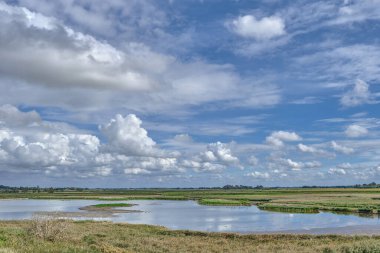 Wester Spaetinge Doğa Rezervi Simonsberg ve Husum yakınlarında, Kuzey Frizya, Almanya