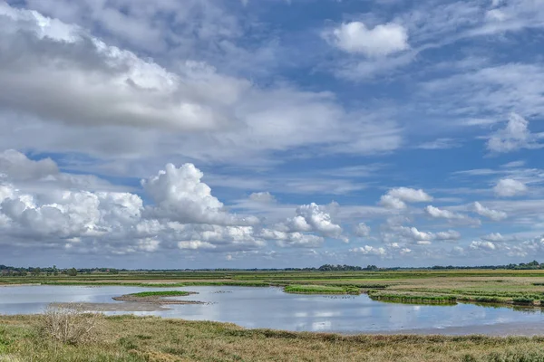 Wester Spaetinge Doğa Rezervi Simonsberg ve Husum yakınlarında, Kuzey Frizya, Almanya