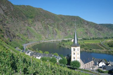 Avrupa 'nın en dik üzüm bağı, Mosel Nehri, Mosel Vadisi, Rhineland-Palatinate, Almanya