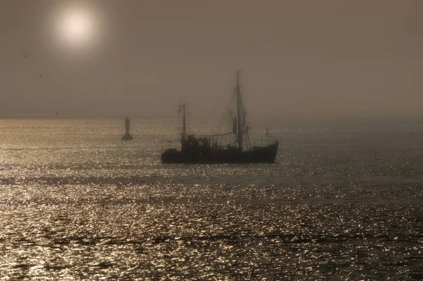 Kuzey Frizya, Almanya 'da Buesum yakınlarında karides teknesi