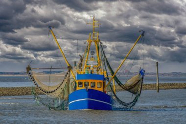 Neuharlingersiel limanına dönen karides teknesi, Kuzey Denizi, Doğu Frizya, Aşağı Saksonya, Almanya