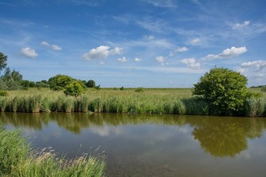 Katinger Watt Doğa Koruma Alanı, Eiderstedt Yarımadası, Kuzey Frizya, Kuzey Denizi, Almanya 'nın kuzeyinde Schleswig-Holstein eyâletinde nemli biyop