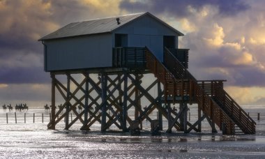 Akşamları Eiderstedt Yarımadası, Kuzey Denizi, Kuzey Frizya, Almanya 'daki Sankt Peter-Ording plajında