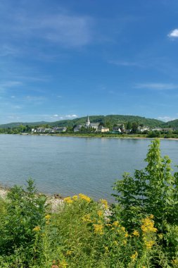 Ren Nehri, Rhineland-Palatinate, Almanya 'da popüler Şarap Köyü