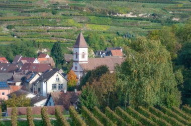 Achkarren 'in cennet şarabı köyü Kaiserstuhl şarap bölgesinde üzüm bağlarıyla çevrili, Almanya, Kara Orman