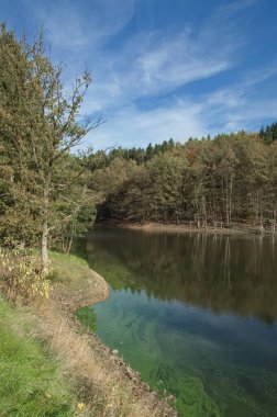 blue-green algae resp.Cyanobacteria on Pond,Germany