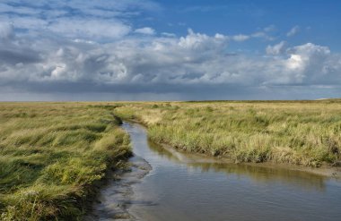 Kuzey Frizya 'daki Kuzey Denizi' ndeki tuzlu bataklık, Eiderstedt Yarımadası Almanya 'daki Westerhever Deniz Feneri' ne yakın.