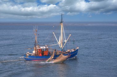 Karides teknesi Kuzey Denizi, Wattenmeer Ulusal Parkı, Almanya 'da yengeç yakalıyor