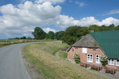 Katinger Watt Doğa Koruma Alanı, Eiderstedt Yarımadası, Kuzey Frizya, Kuzey Denizi, Schleswig-Holstein, Almanya