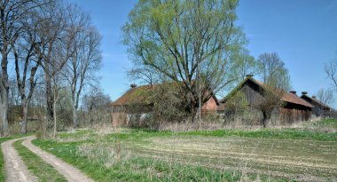 Warmia Masuria Voyvoda 'daki Leylekler Zywkowo Köyü, Polonya, Rusya Sınırı' na yakın.