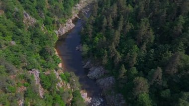 Fransa 'da yeşil orman ve uçurumlarla çevrili küçük bir nehrin üzerindeki asma köprünün insansız hava aracı görüntüleri. Açık havayla birlikte havadan yaz manzarası.