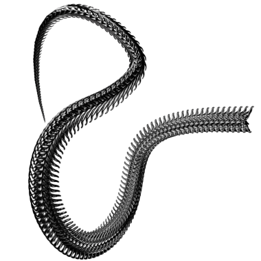 Krom 3 boyutlu element. Soyut metal sırtı, siber silizm tarzında demir kemikler, perspektif nesneleri. Şeffaf arkaplan