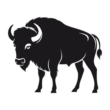 Güçlü bir Amerikan bizonu ya da bufalosunun siyah silueti boynuzlu, ayakta duran, beyaz üzerinde izole edilmiş büyük vahşi bir hayvan.