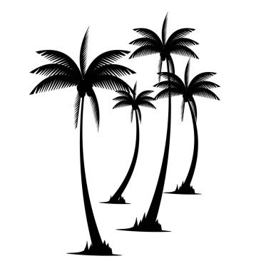 Beyaz arka planda izole edilmiş, yaz, sahil ve tatil tasarımları için ideal çoklu tropik palmiye ağaçlarının vektör siluetleri