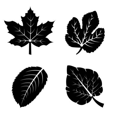 Organik Doğa Sanatı için Çeşitli Yaprakların Siyah ve Beyaz Grafik Tasarımı