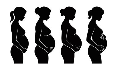 Hamilelik Anne Göbeği Doğum Öncesi Kadın Annelik Büyüme ve Sağlık Görünüşü