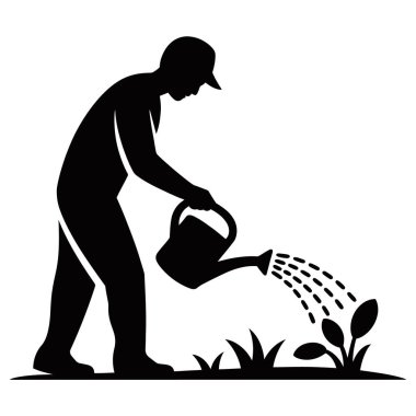 Sulayan Bahçıvan Bitkileri Sulama Tarım Doğa Büyüme Doğası Tarım Silueti Bakımı