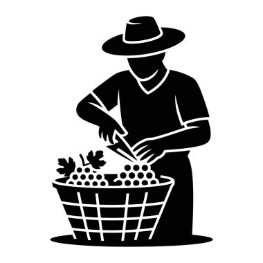 Çiftçi Üzüm Hasadı Tarım Üzüm Bahçesi Tarım Sepeti Silueti Kırsal