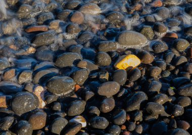 bir plajda ıslak çakıl taşları