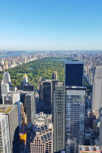 NEW YORK MANHATTEN CENTRAL PARK BROOKLYN BRIDGE Vatandaşı