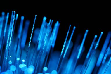 Karanlık bir zemin üzerinde dikey, yoğun mavi fiber optik ipliklerin soyut yakın çekimi, veri ve yüksek teknoloji bağlantısını öneriyor..