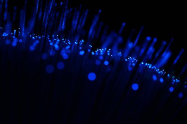 Karanlık bir zemin üzerinde dikey, yoğun mavi fiber optik ipliklerin soyut yakın çekimi, veri ve yüksek teknoloji bağlantısını öneriyor..