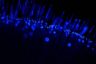 Karanlık bir zemin üzerinde dikey, yoğun mavi fiber optik ipliklerin soyut yakın çekimi, veri ve yüksek teknoloji bağlantısını öneriyor..