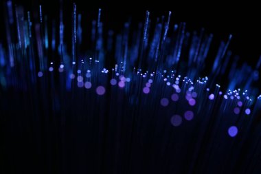 Karanlık bir zemin üzerinde dikey, yoğun mavi fiber optik ipliklerin soyut yakın çekimi, veri ve yüksek teknoloji bağlantısını öneriyor..