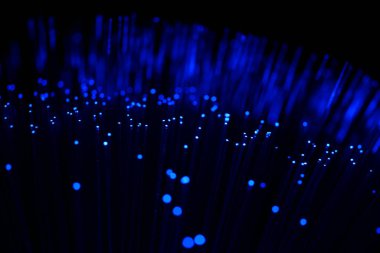 Karanlık bir zemin üzerinde dikey, yoğun mavi fiber optik ipliklerin soyut yakın çekimi, veri ve yüksek teknoloji bağlantısını öneriyor..