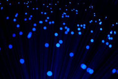 Karanlık bir zemin üzerinde dikey, yoğun mavi fiber optik ipliklerin soyut yakın çekimi, veri ve yüksek teknoloji bağlantısını öneriyor..