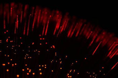 Kırmızı fiber optik ipliklerden oluşan soyut bir yakın plan, karanlık bir arka planda veri iletimi ve fütüristik teknoloji öneriyor..