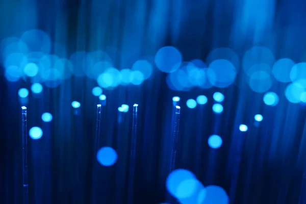 Karanlık bir zemin üzerinde dikey, yoğun mavi fiber optik ipliklerin soyut yakın çekimi, veri ve yüksek teknoloji bağlantısını öneriyor..