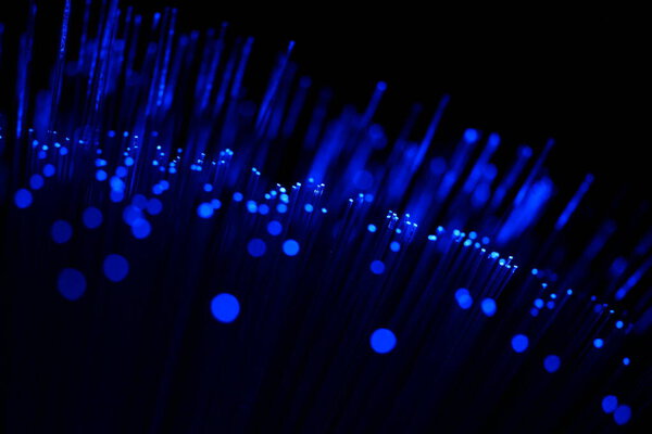 Abstract close-up of vertical, intensely blue fiber optic strands on a dark background, suggesting data and high-tech connection.
