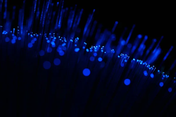 Karanlık bir zemin üzerinde dikey, yoğun mavi fiber optik ipliklerin soyut yakın çekimi, veri ve yüksek teknoloji bağlantısını öneriyor..