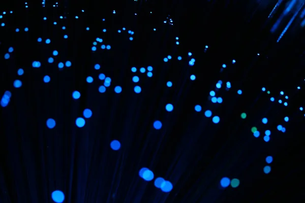 Karanlık bir zemin üzerinde dikey, yoğun mavi fiber optik ipliklerin soyut yakın çekimi, veri ve yüksek teknoloji bağlantısını öneriyor..