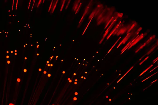Kırmızı fiber optik ipliklerden oluşan soyut bir yakın plan, karanlık bir arka planda veri iletimi ve fütüristik teknoloji öneriyor..